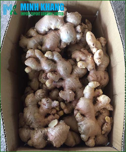 Fresh ginger